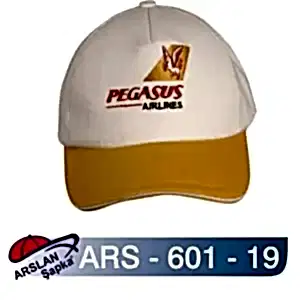 ARS-601-19