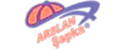 Arslan Şapka